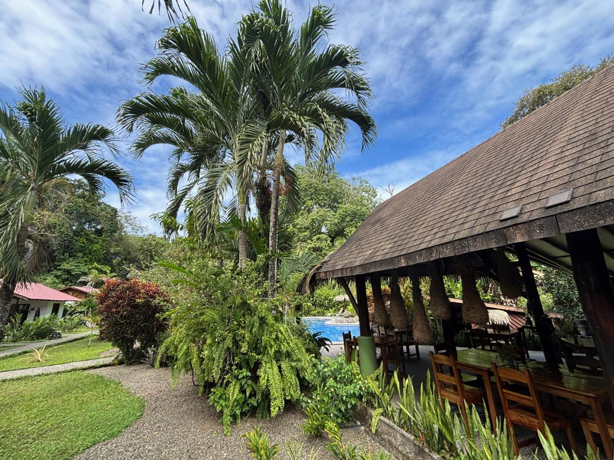 Hotel Suizo Loco Lodge & Resort Cahuita Bagian luar foto