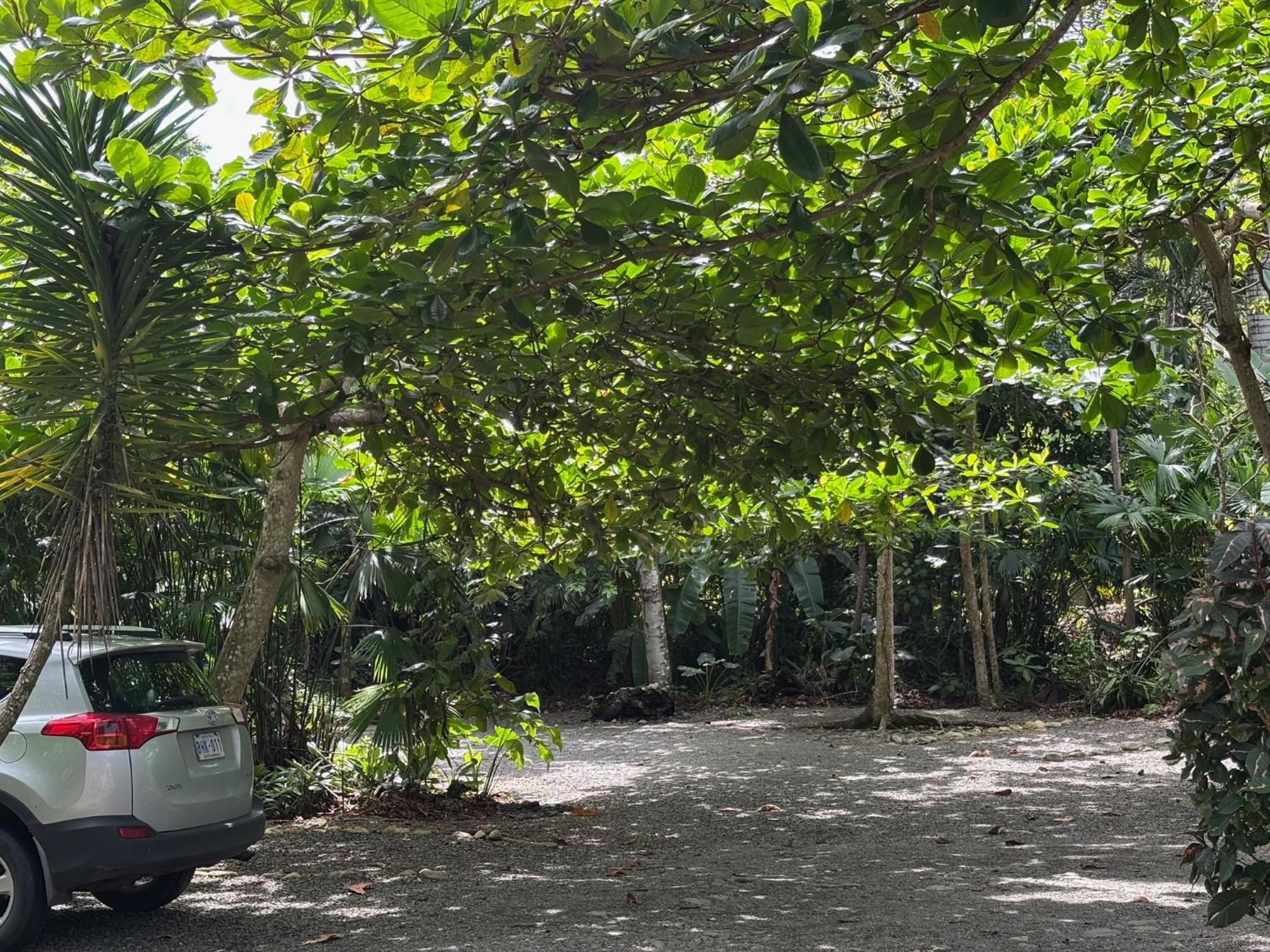Hotel Suizo Loco Lodge & Resort Cahuita Bagian luar foto