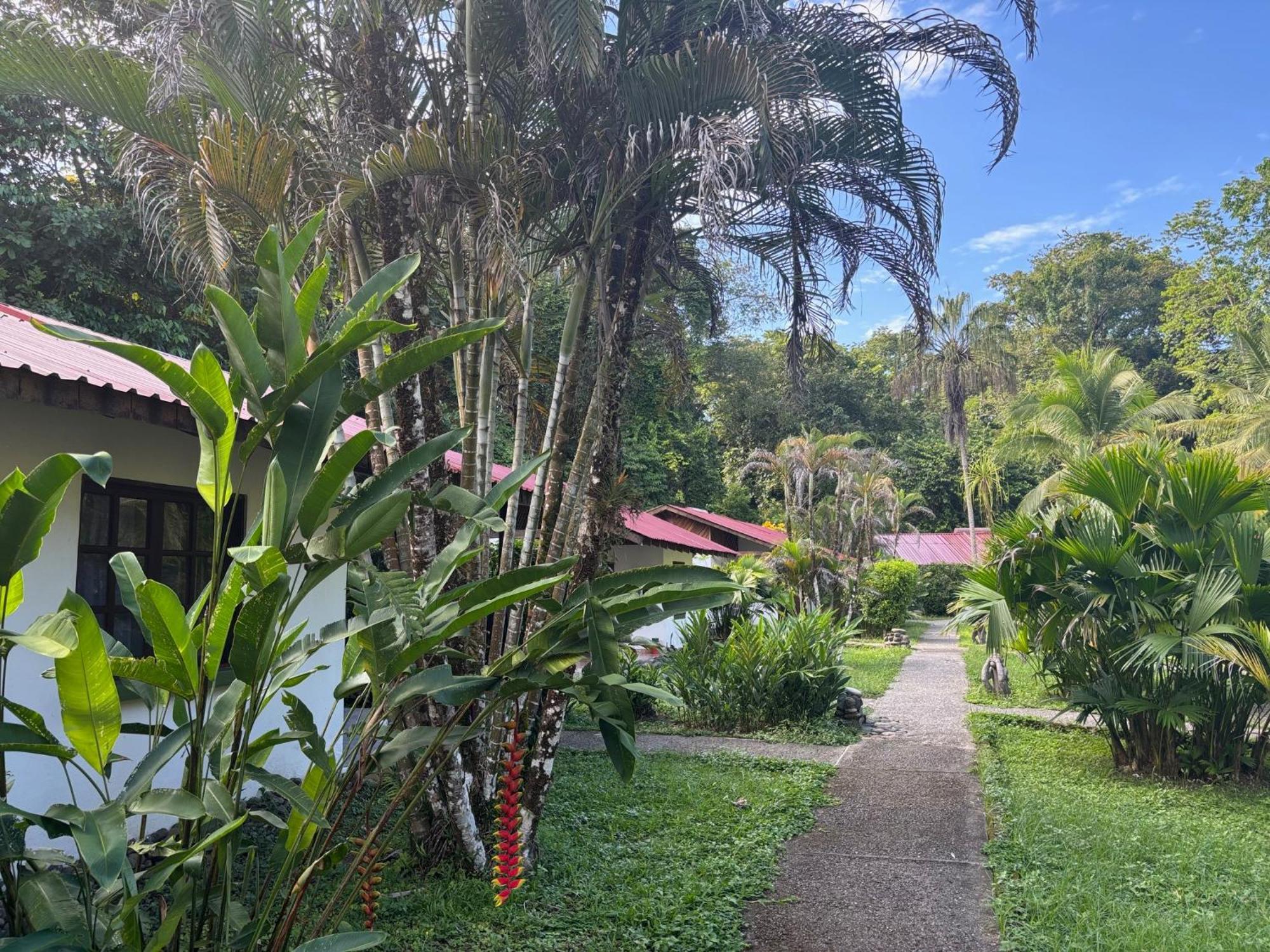 Hotel Suizo Loco Lodge & Resort Cahuita Bagian luar foto