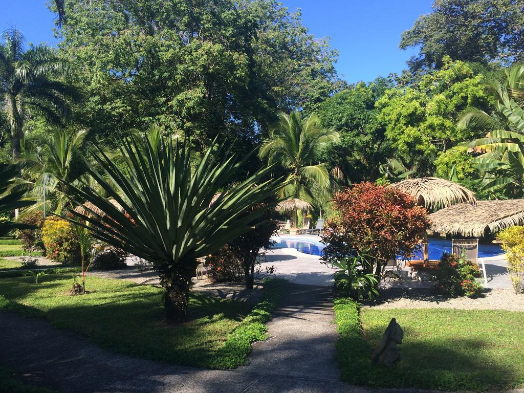 Hotel Suizo Loco Lodge & Resort Cahuita Ruang foto