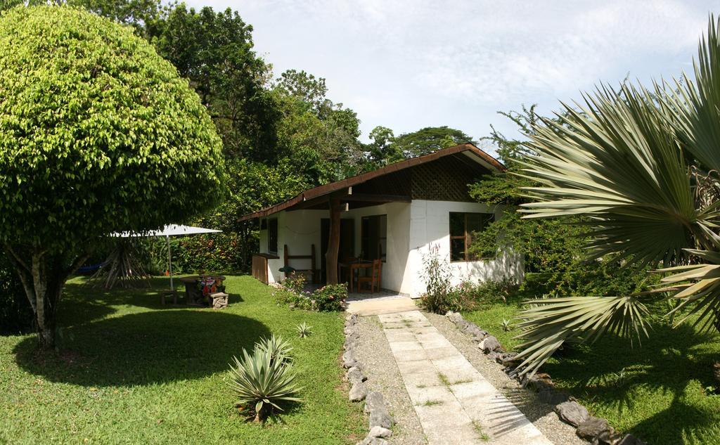 Hotel Suizo Loco Lodge & Resort Cahuita Ruang foto
